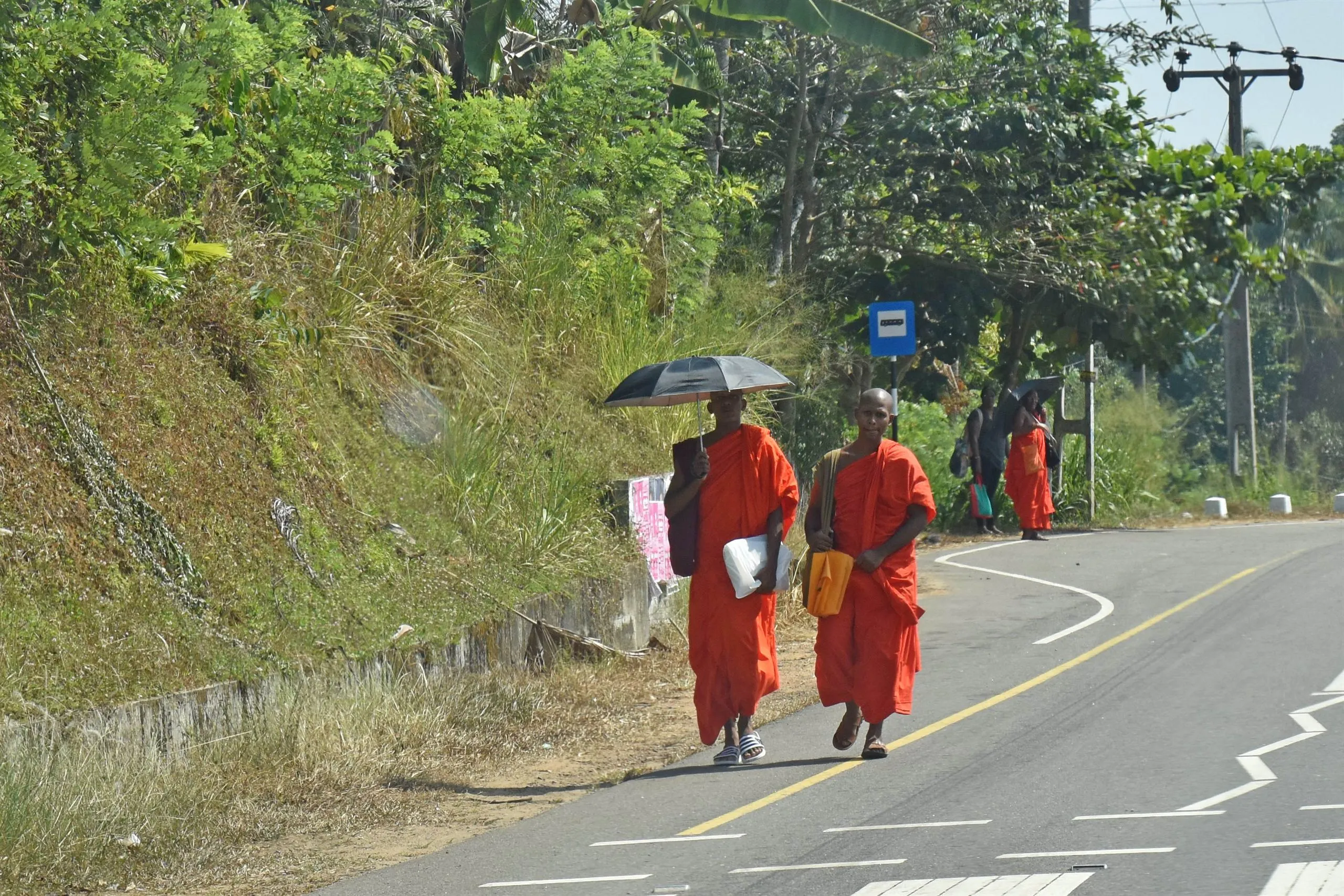 Two monks in orange robes walking along the roadside
