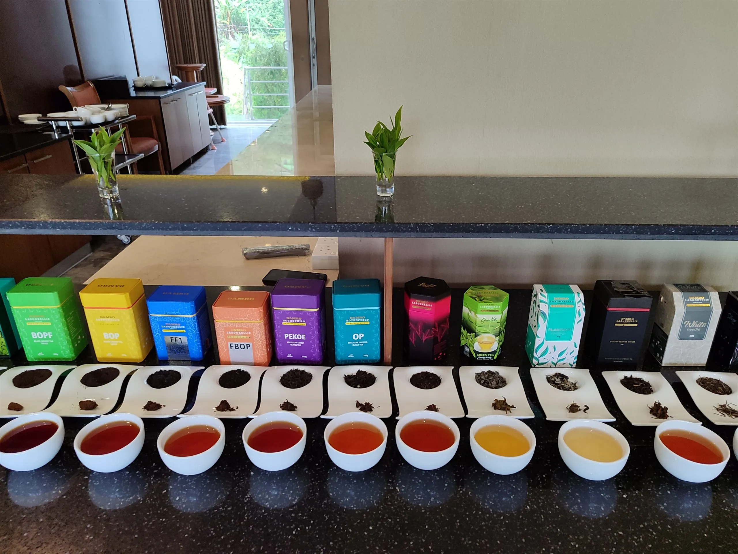 A tasting flight of tea grades above the plantation