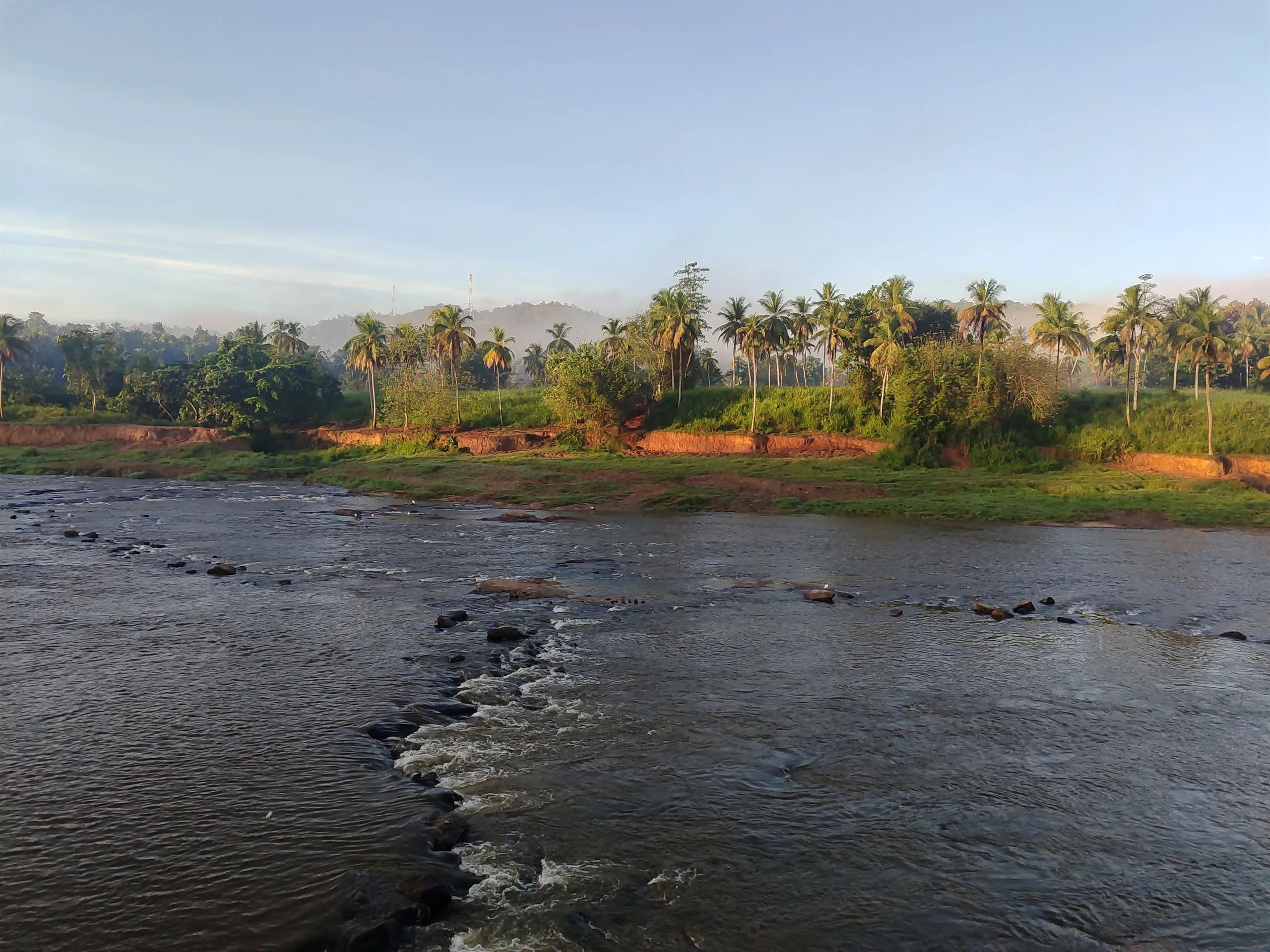 First light on the river, palms and hills behind