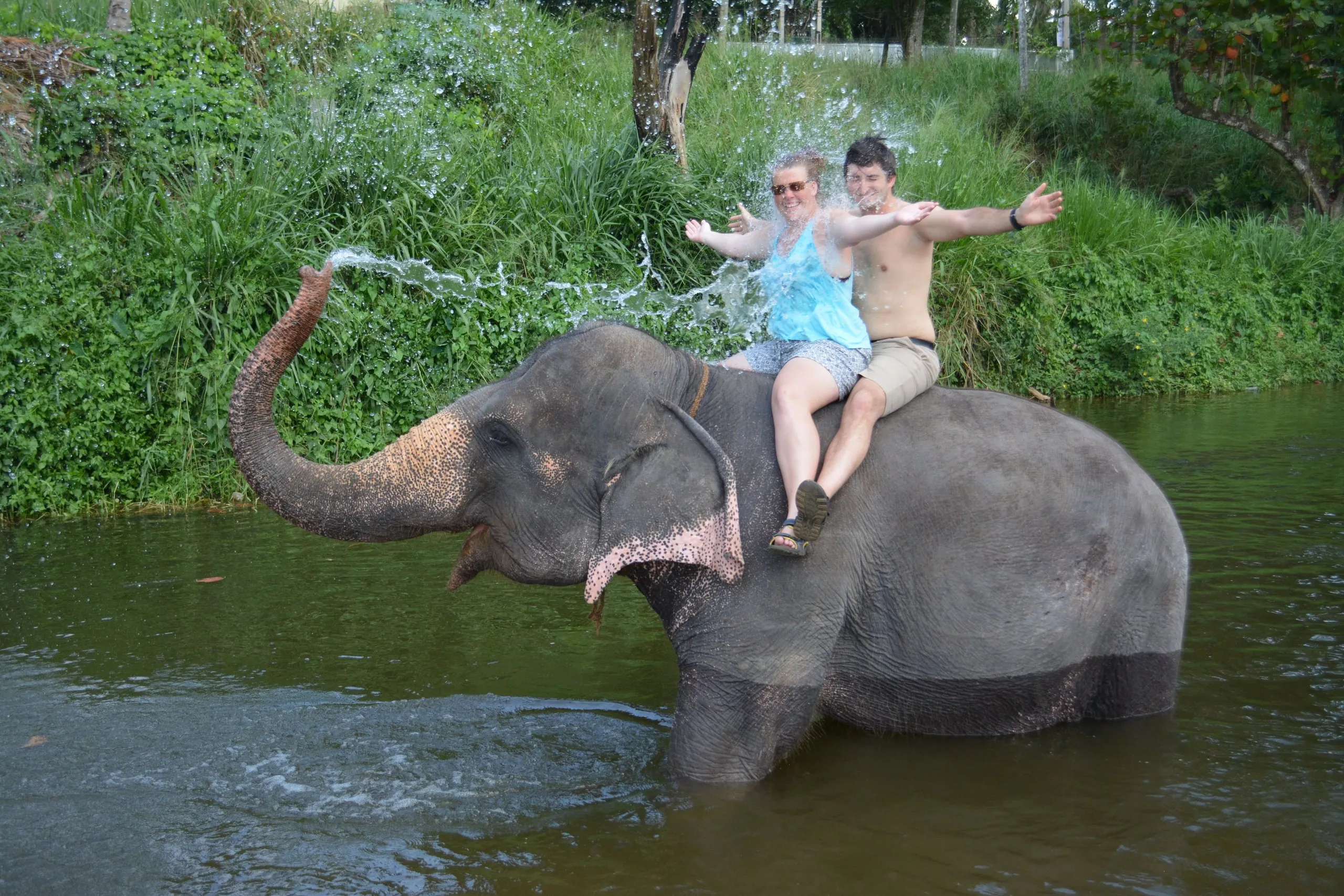 The couple sitting on an elephant in the river at Pinnawala as it sprays water over them